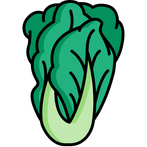 chinese-cabbage